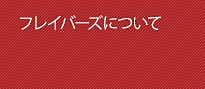 �t���C�o�[�Y�ɂ���