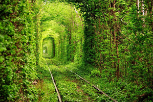 恋のトンネル