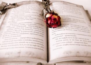 開かれた古い本に枯れたバラの花